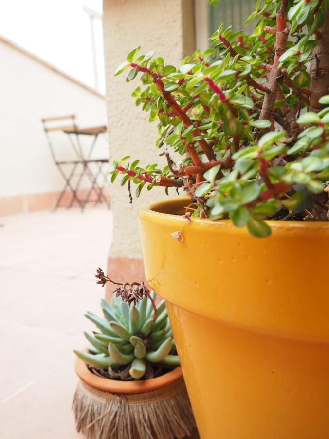 Apartaments La Rambla - Espero De Bolos - 4 Pers Cornudella de Montsant Exteriér fotografie